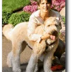 dog training reviews, quality k9, dog trainer reviews phoenix, dog training reviews scottsdale