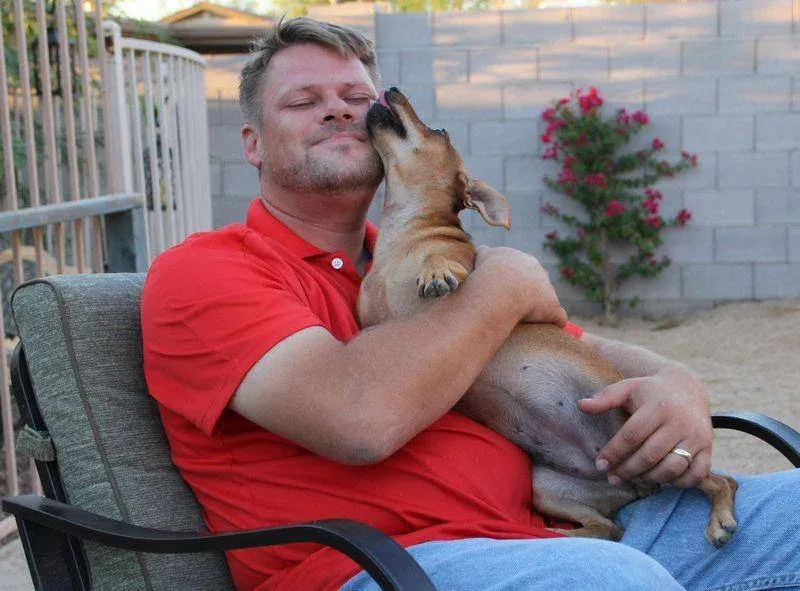 dog training