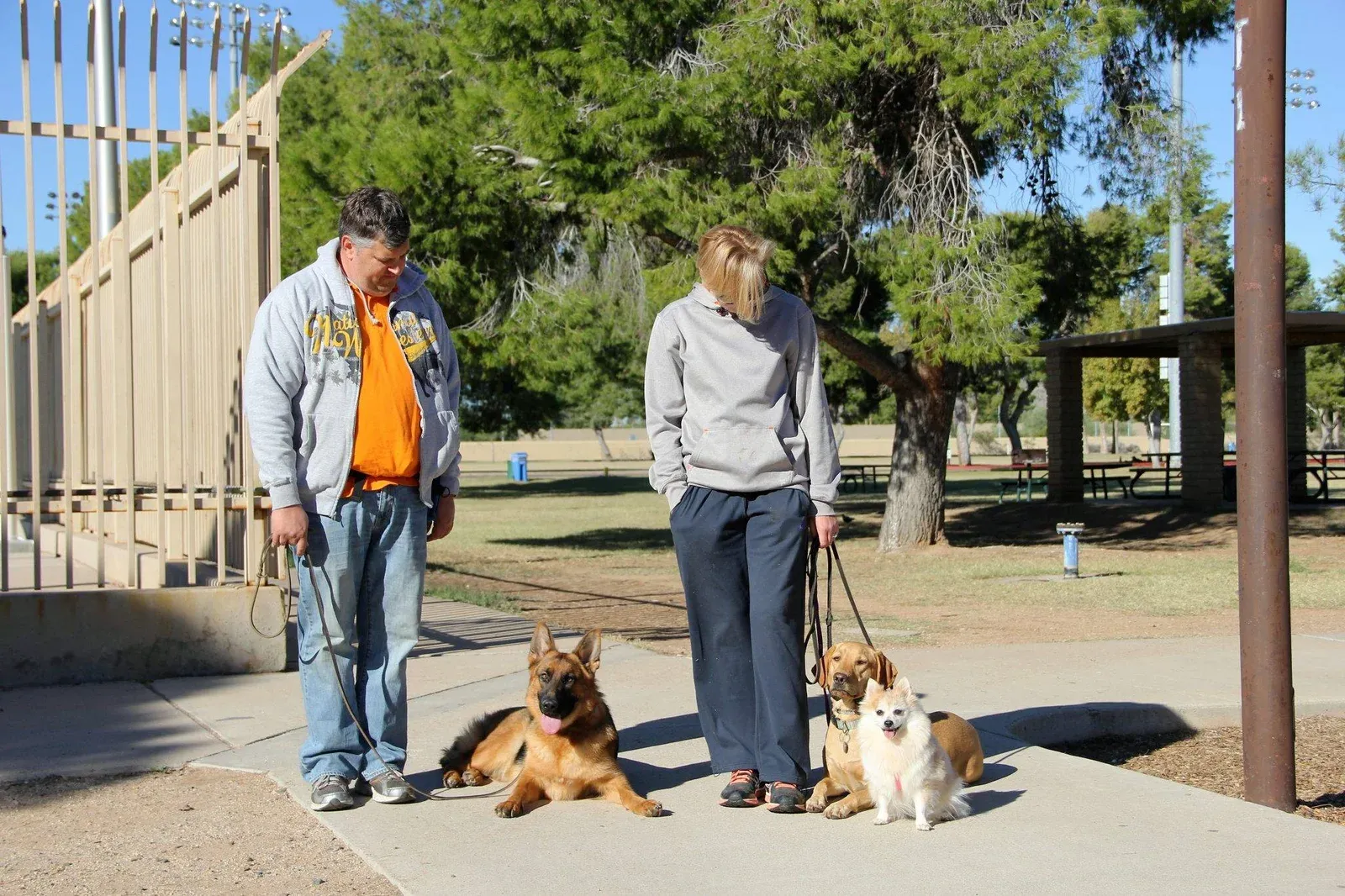 dog training phoenix scottsdale, quality k9, tino reinke, angelika clark