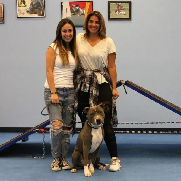 Dog Training Graduate