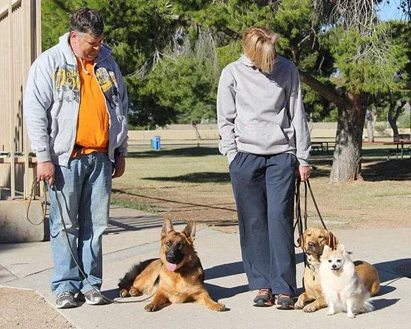 dog boarding and training, dog training phoenix, dog training scottsdale, quality k9, tino reinke, angelika clark